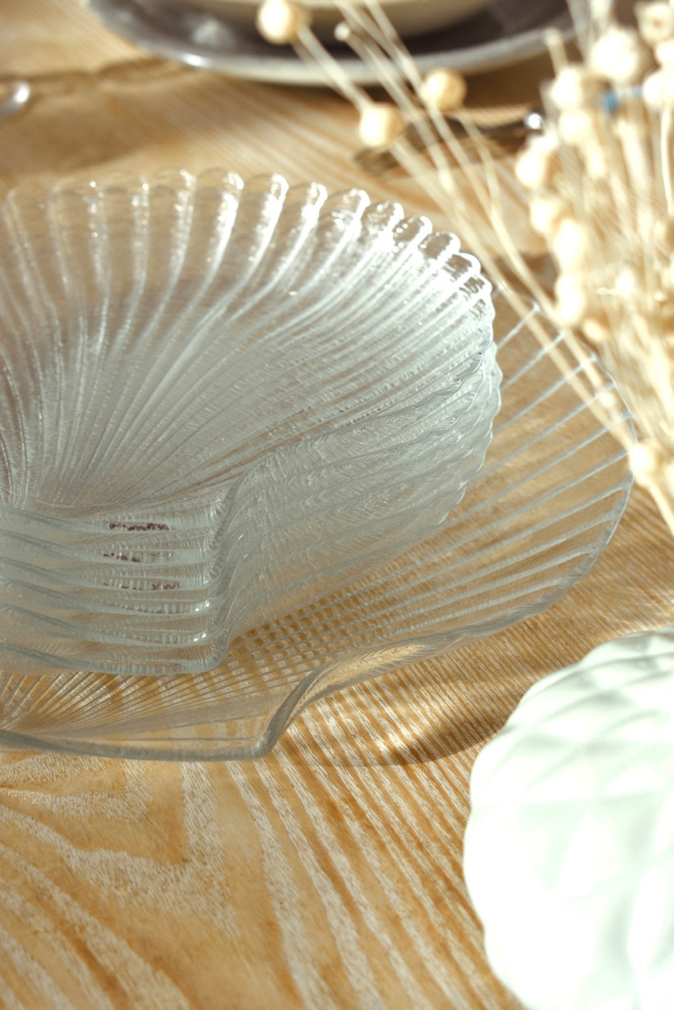 Service 6 petites assiettes transparentes coquille saint-jacques « SAINT JACQUES » - La Recyclerie LS